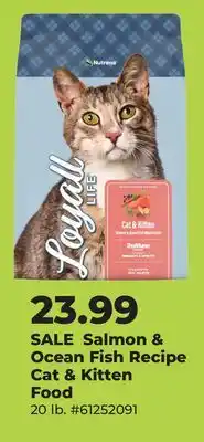 Runnings Salmon & Ocean Fish Recipe Cat & Kitten Food offer