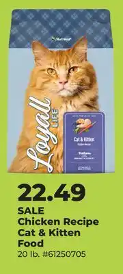 Runnings Chicken Recipe Cat & Kitten Food offer