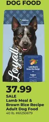 Runnings Lamb Meal & Brown Rice Recipe Adult Dog Food offer