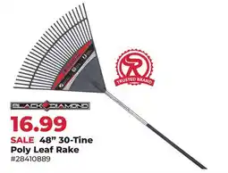 Runnings 48 30-Tine Poly Leaf Rake offer