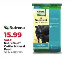 Runnings Nutrena NutreBeef Cattle Mineral Feed offer