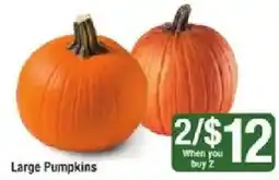 Shaw's Large Pumpkins offer