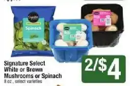 Star Market Signature Select White or Brown Mushrooms or Spinach offer