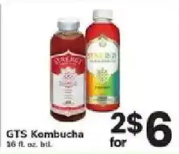 GTS Kombucha