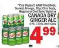 C Town Canada Dry Ginger Ale offer
