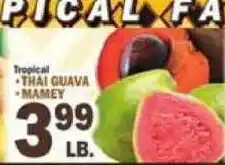 C Town Tropical Thai Guava Mamey offer