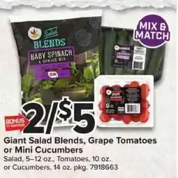 Giant Food Giant Salad Blends, Grape Tomatoes or Mini Cucumbers offer