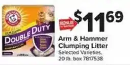 Giant Food Arm & Hammer Clumping Litter offer