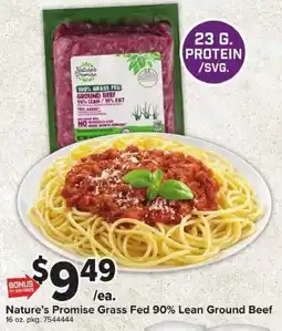 Giant Food Nature's Promise Grass Fed Ground Beef offer