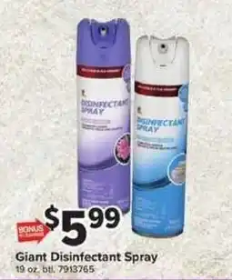Giant Food Giant Disinfectant Spray offer