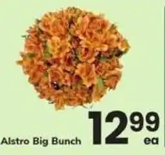 Safeway Alstro Big Bunch offer