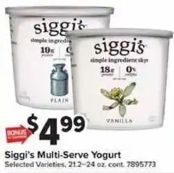 Giant Food Siggis Multi-Serve Yogurt offer
