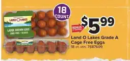 Giant Food Land O Lakes Grade A Cage Free Eggs offer