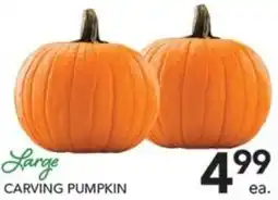 Pete's Fresh Market Large Carving Pumpkin offer