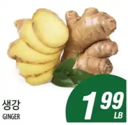 Joong Boo Market GINGER offer