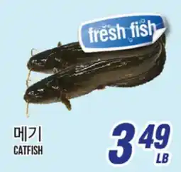 Joong Boo Market CATFISH offer
