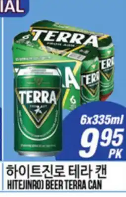 Joong Boo Market HITEJINRO BEER TERRA CAN offer