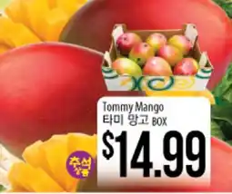 Hmart Tommy Mango offer