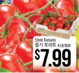 Hmart Stem Tomato offer