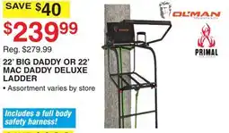 Dunham's Sports 22' BIG DADDY OR 22' MAC DADDY DELUXE LADDER offer