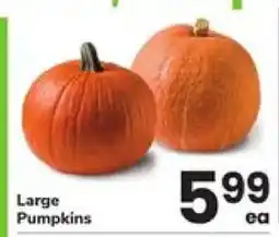 Safeway Large Pumpkins offer