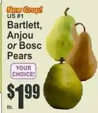 Key Food Bartlett, Anjou or Bosc Pears offer