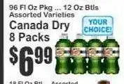 Key Food Canada Dry offer