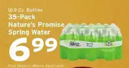 Hannaford Nature's Promise spring water offer