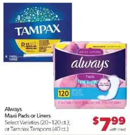 Family Fare Always Maxi Pads or Liners offer