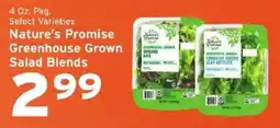 Hannaford Nature's Promise Greenhouse Grown Salad Blends offer