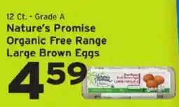 Hannaford Nature's Promise organic free range large brown eggs offer