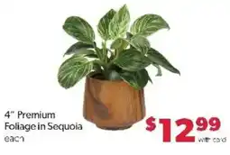 Family Fare Premium Foliage in Sequoia offer