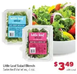 Family Fare Little Leaf Salad Blends offer