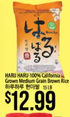 Hmart HARU HARU 100% California Grown Medium Grain Brown Rice offer