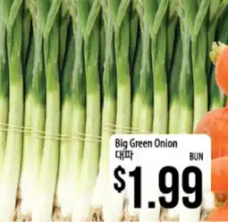 Hmart Big Green Onion offer