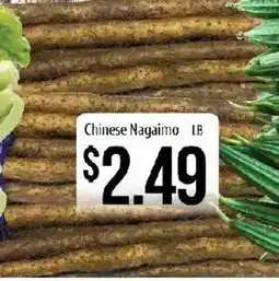 Hmart Chinese Nagaimo LB offer