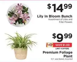 ShopRite Lily In Bloom Bunch offer