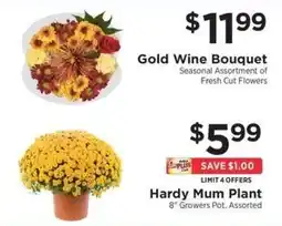 ShopRite Hardy Mum Plant offer