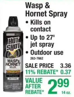 Menards Hot shot wasp & hornet killer offer