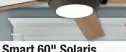 Menards Smart 60" Solaris offer