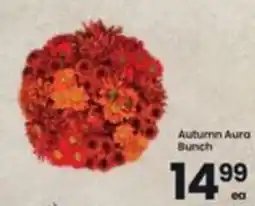 Safeway Autumn Aura Bunch offer
