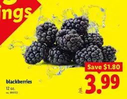 Lidl blackberries offer