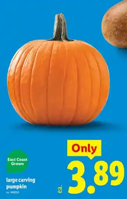 Lidl large carving pumpkin offer