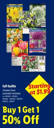 Lidl fall bulbs offer