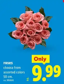 Lidl roses offer