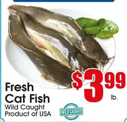 Supremo Foods Inc Fresh Cat Fish offer