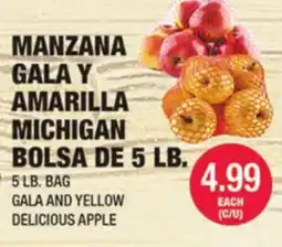 Carnicerias Jimenez MANZANA GALA Y AMARILLA MICHIGAN BOLSA DE 5 LB offer