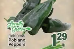 Angelo Caputo's Fresh Market Field Fresh Poblano Peppers offer