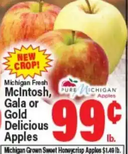 Angelo Caputo's Fresh Market Michigan Fresh McIntosh, Gala or Gold Delicious Apples offer