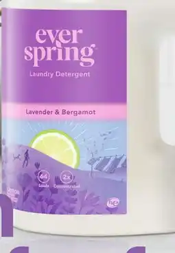 Target Everspring 100-oz. liquid laundry detergent offer